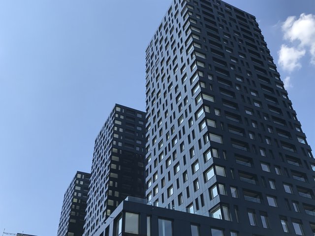 Portfolio Background